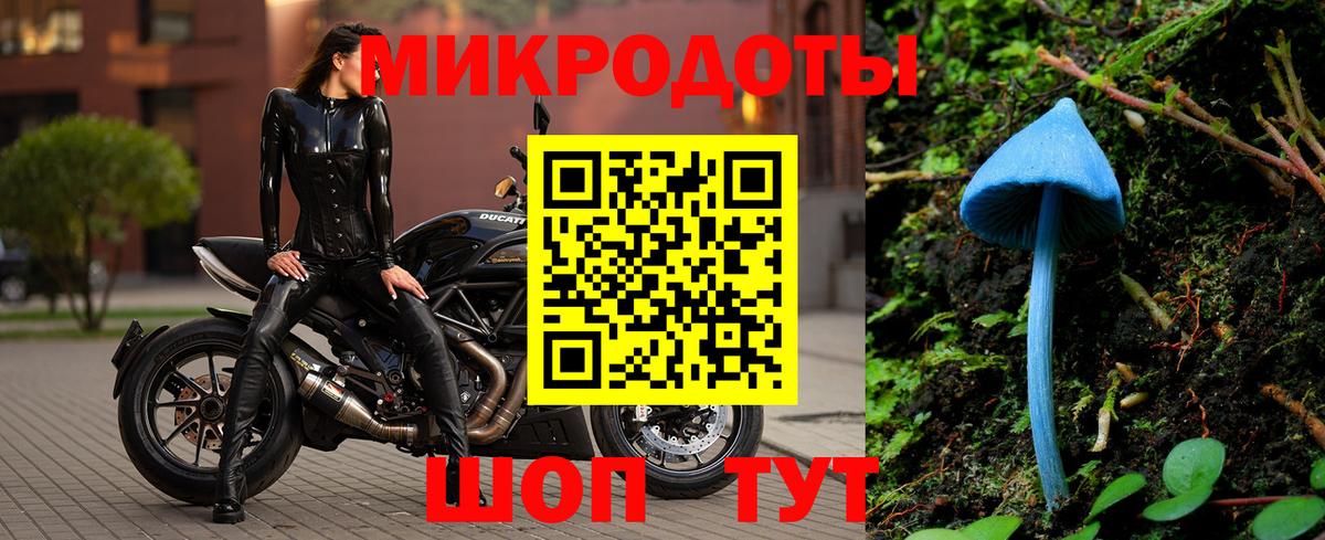 Псилоцибиновые грибы мухоморы  Вход с VPN  Прохладный  Псилоцибиновые грибы прущие грибы 