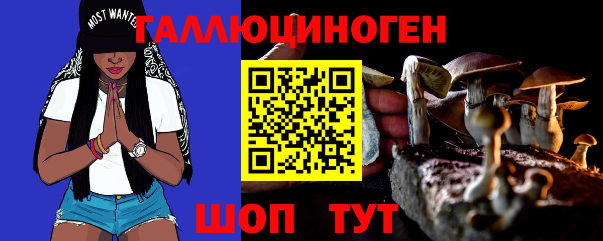 Галлюциногенные грибы GOLDEN TEACHER Прохладный